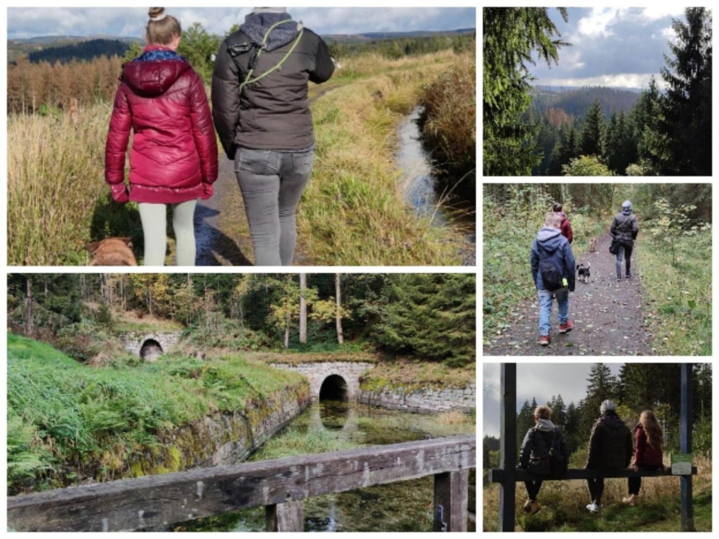 Naturliebeharz Altenau  Eksteriør bilde